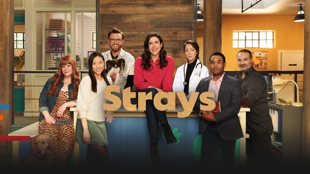 Watch Strays online free on TinyZone